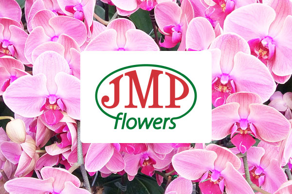 Strona główna 69 JMP Flowers - klient Primesoft